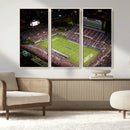 Florida Atlantic University Owls Canvas Print, Football Team by MyGreatCanvas | Canvas Wall Art Prints | Photo Prints & Wall Decor