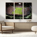 Florida Atlantic University Owls Football Team Print - Boca by MyGreatCanvas | Canvas Wall Art Prints | Photo Prints & Wall Decor