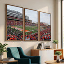 University of Illinois Fighting Illini Football Team Print -