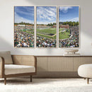 University of Charlotte 49ers Football Team Print - by MyGreatCanvas | Canvas Wall Art Prints | Photo Prints & Wall Decor