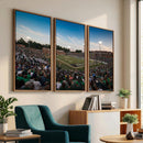 University of Charlotte 49ers Football Team Print -