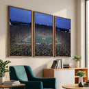 University of Michigan Wolverines Football Team Print - Ann