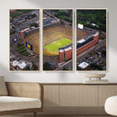 University of Michigan Wolverines Football Team Print - Ann