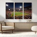 Clemson University Tigers Art Print, Football Team Print -