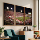 Indiana University Hoosiers Football Team Print Canvas -