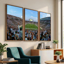 Michigan State Spartans Football Team Art Print - East