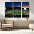 Michigan State Spartans Football Team Print - East Lansing