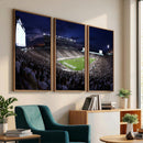 Michigan State Spartans Canvas, Framed Football Team Print -