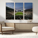 Michigan State Spartans Football Team Print - East Lansing