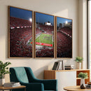 Ohio State University Buckeyes Football Team Print -