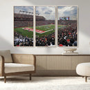 Rutgers Scarlet Knights Football Team Print - SHI Stadium,