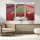 Rutgers Scarlet Knights Football Team Print - Piscataway SHI by MyGreatCanvas | Canvas Wall Art Prints | Photo Prints & Wall Decor