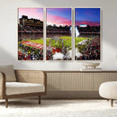 Stanford University Cardinal Football Team Print - Stanford