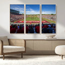 Ball State Cardinals Football Team Print - Muncie Scheumann