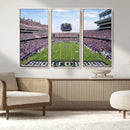 TCU Horned Frogs Football Team Print - Fort Worth Amon G.