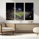 TCU Horned Frogs Football Team Print - Fort Worth Amon G.