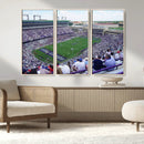 The Texas Christian University TCU Horned Frogs Football