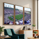 The Texas Christian University TCU Horned Frogs Football