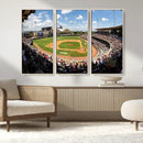 The Texas A&M University Aggies Athletics Team Print -