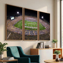 The University of Connecticut UCONN Huskies Football Team