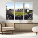 The Duke University Blue Devils Football Team Print - Durham
