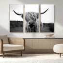 Highland Cow Wall Art | Black and White Farmhouse Decor |