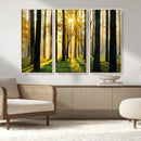 Sunlit Forest Wall Art Canvas Print – Large Framed Woodland