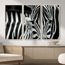 Zebra Wall Art – Zebra Close Up Wall Art – Framed Black by MyGreatCanvas | Canvas Wall Art Prints | Photo Prints & Wall Decor