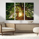 Majestic Ancient Tree Wall Art, NatureCanvas Print, Woodland by MyGreatCanvas | Canvas Wall Art Prints | Photo Prints & Wall Decor