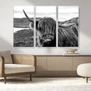 Longhorn Steer Canvas Print Wall Art, Highland Cow Canvas by MyGreatCanvas | Canvas Wall Art Prints | Photo Prints & Wall Decor