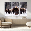 Bison Wall Art Canvas Print- Bison Herd Canvas Wall Art –