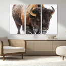 Bison Wall Art Canvas Print For Farmhouse, Wild Animal Wall by MyGreatCanvas | Canvas Wall Art Prints | Photo Prints & Wall Decor