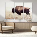 Bison in Field Wall Art Canvas Print For Farmhouse Barn