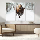 Bison Wall Art Canvas Print For Farmhouse, Animal Canvas