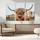 Highland Cow Animal Scottish Cattle Art Print Farmhouse Wall