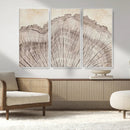 Tree Ring Wall Art Triptych, Rustic Wood Ring Canvas Print,