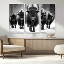 American Bison Art | Buffalo Herd Wall Art Canvas Print, BW
