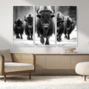 American Bison Art | Buffalo Herd Wall Art Canvas Print, BW