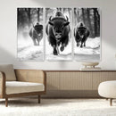 Buffalo Wall Art Canvas Print, Bison Family Wall Art Canvas by MyGreatCanvas | Canvas Wall Art Prints | Photo Prints & Wall Decor