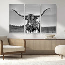 Texas Longhorn Cow Wall Art, Texas Longhorn Canvas, Cattle