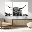 Longhorn Canvas Print, Bighorn Cow Wall Art Canvas Print