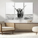 Highland Cow Canvas Wall Art – Majestic Beauty in Black and