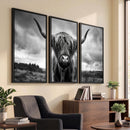 Scottish Cow Wall Art Canvas Print | Longhorn Wall Art |