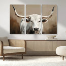 White Longhorn Bull Wall Art Canvas Print – Framed and Ready