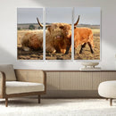 Highland Cow Canvas Wall Art Animal Print for Farm House