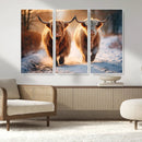 Scottish Highland Cow Horn Farm Wall Art Canvas Print