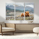 Highland Cow Horn Farm Wall Art Canvas Print