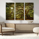 Ancient Angel Oak Tree Art Sunburst Canvas Print-