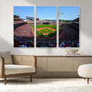 Cincinnati Reds Baseball Canvas Print - American Ball
