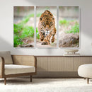Leopard on the Prowl - Stunning Large Framed Leopard Wall